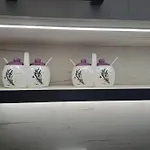 Vlado ポドゴリツァ